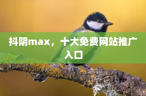抖阴max，十大免费网站推广入口