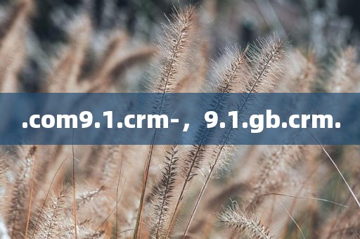 .com9.1.crm-，9.1.gb.crm.