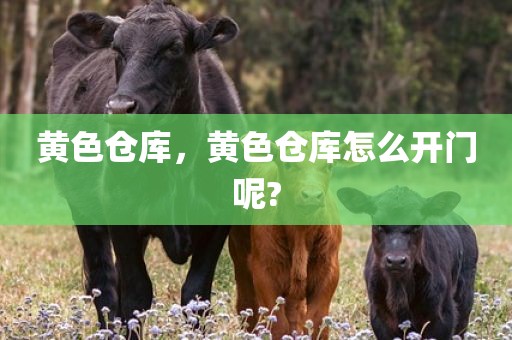 黄色仓库，黄色仓库怎么开门呢?