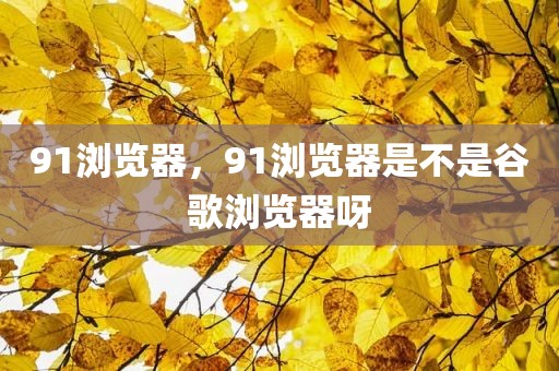 91浏览器，91浏览器是不是谷歌浏览器呀