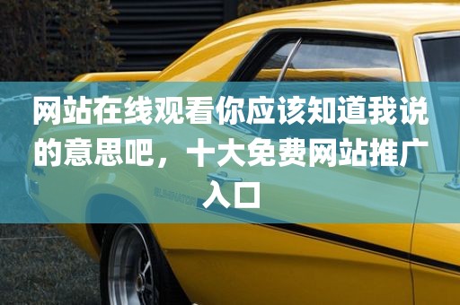 网站在线观看你应该知道我说的意思吧，十大免费网站推广入口