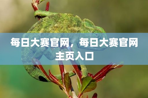 每日大赛官网，每日大赛官网主页入口