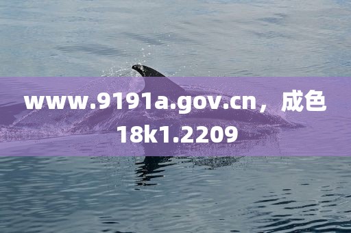 www.9191a.gov.cn，成色18k1.2209