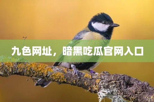 九色网址，暗黑吃瓜官网入口