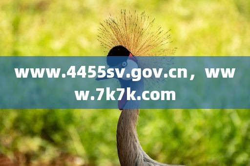 www.4455sv.gov.cn，www.7k7k.com