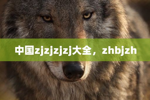 中国zjzjzjzj大全，zhbjzh