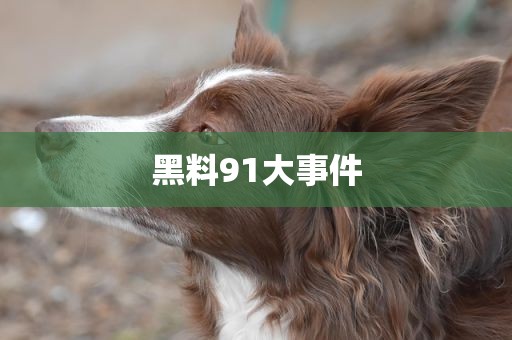 黑料91大事件