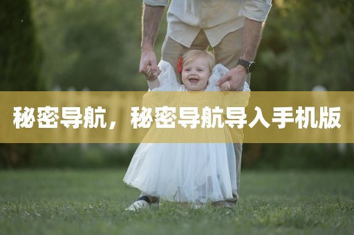 秘密导航，秘密导航导入手机版