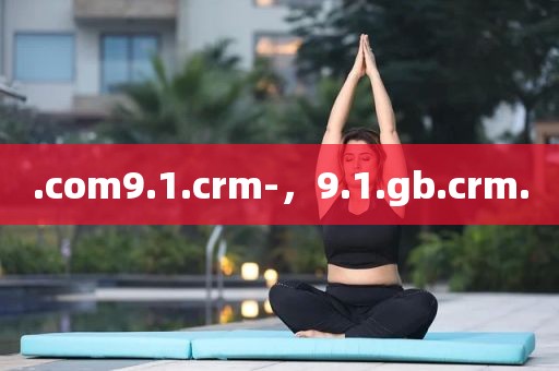 .com9.1.crm-，9.1.gb.crm.