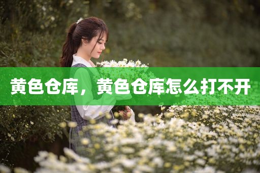 黄色仓库，黄色仓库怎么打不开