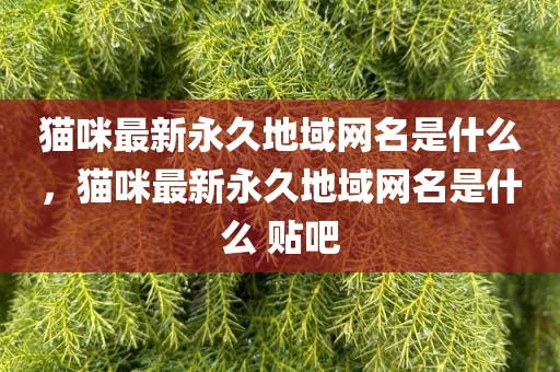 猫咪最新永久地域网名是什么，猫咪最新永久地域网名是什么 贴吧