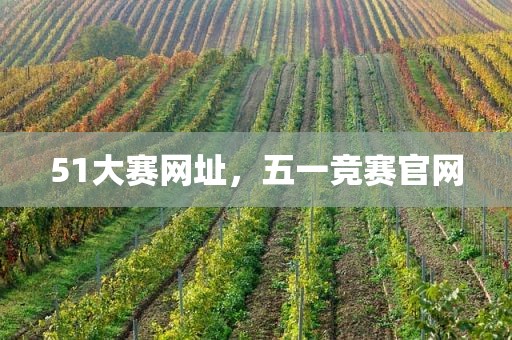51大赛网址，五一竞赛官网