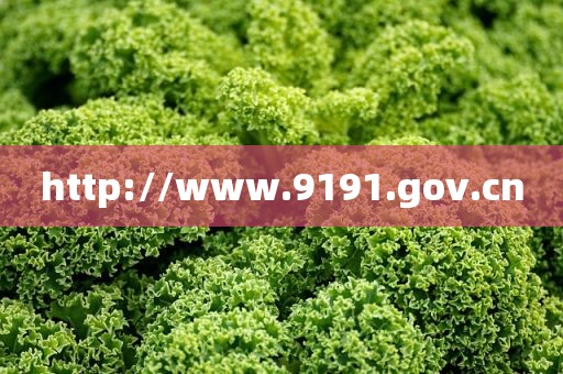 http://www.9191.gov.cn