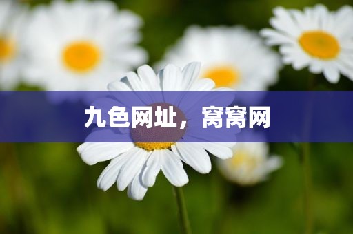 九色网址，窝窝网