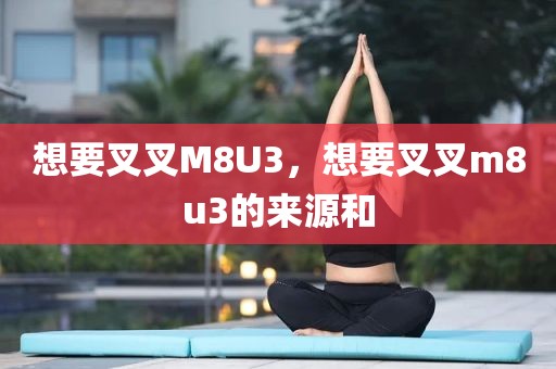 想要叉叉M8U3，想要叉叉m8u3的来源和