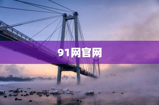 91网官网