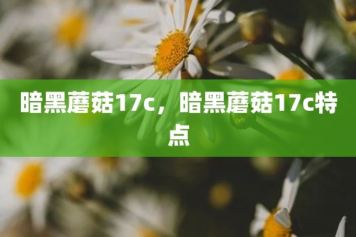 暗黑蘑菇17c，暗黑蘑菇17c特点