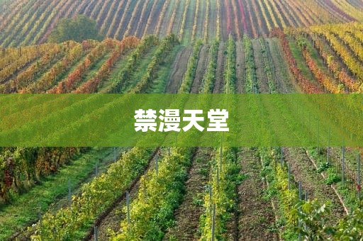 禁漫天堂
