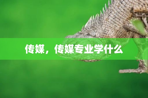 传媒，传媒专业学什么