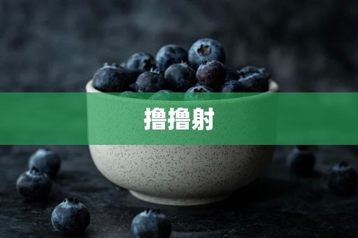 撸撸射
