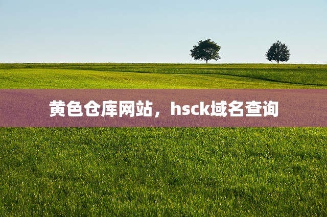 黄色仓库网站，hsck域名查询