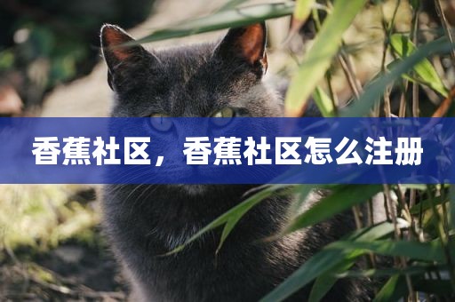 香蕉社区，香蕉社区怎么注册