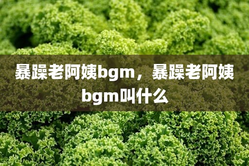 暴躁老阿姨bgm，暴躁老阿姨bgm叫什么