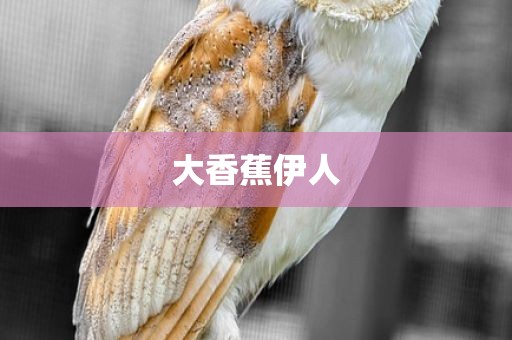 大香蕉伊人