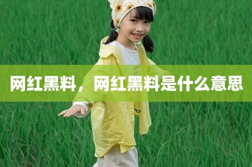 网红黑料，网红黑料是什么意思
