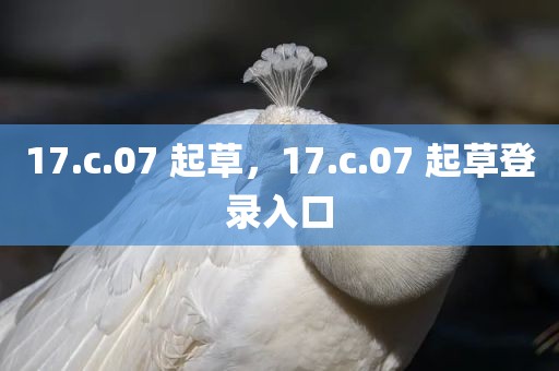 17.c.07 起草，17.c.07 起草登录入口