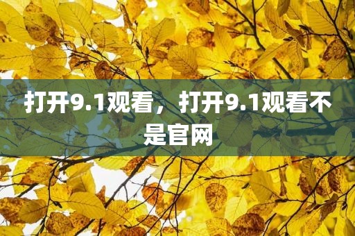 打开9.1观看，打开9.1观看不是官网