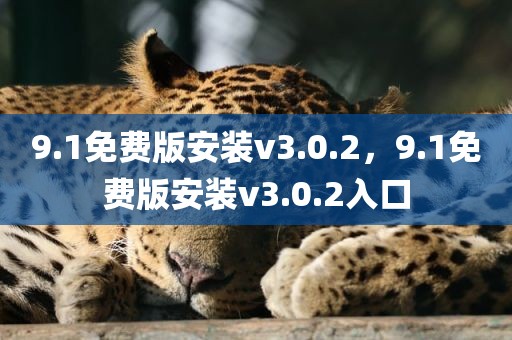 9.1免费版安装v3.0.2，9.1免费版安装v3.0.2入口