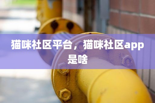 猫咪社区平台，猫咪社区app是啥