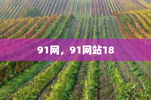 91网，91网站18