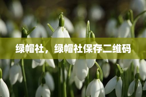 绿帽社，绿帽社保存二维码