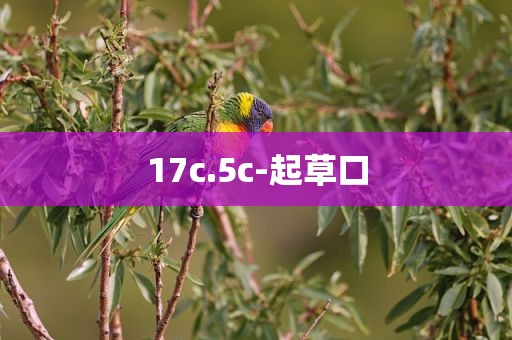 17c.5c-起草口