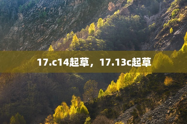 17.c14起草，17.13c起草