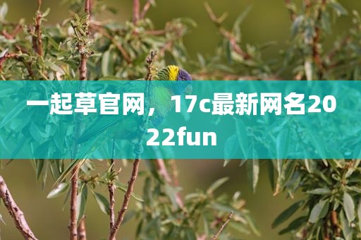 一起草官网，17c最新网名2022fun