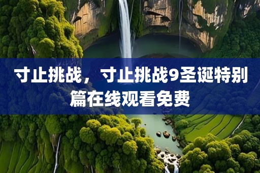 寸止挑战，寸止挑战9圣诞特别篇在线观看免费