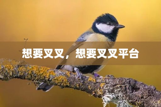 想要叉叉，想要叉叉平台