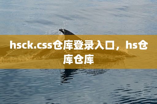 hsck.css仓库登录入口，hs仓库仓库