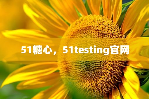 51糖心，51testing官网