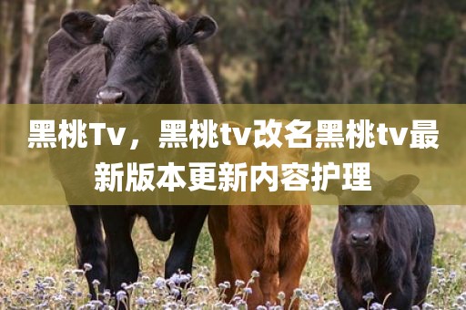 黑桃Tv，黑桃tv改名黑桃tv最新版本更新内容护理