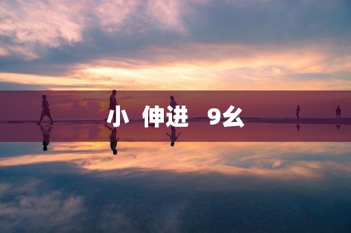 小  伸进   9幺