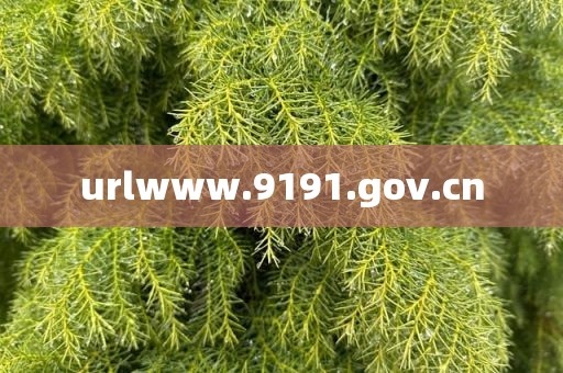 urlwww.9191.gov.cn