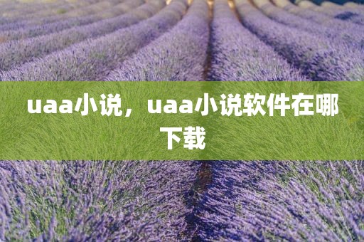 uaa小说，uaa小说软件在哪下载