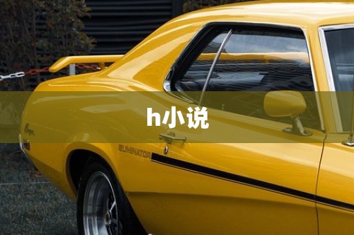 h小说