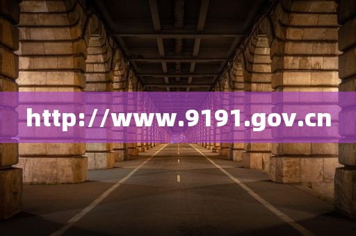 http://www.9191.gov.cn