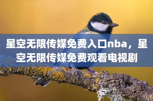 星空无限传媒免费入口nba，星空无限传媒免费观看电视剧