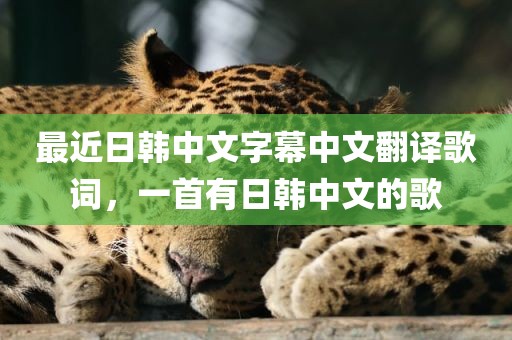 最近日韩中文字幕中文翻译歌词，一首有日韩中文的歌